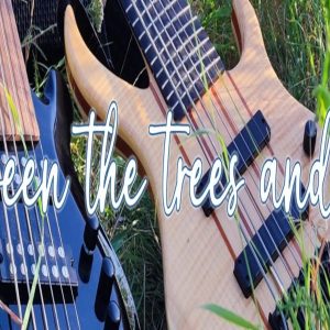 between the trees and me