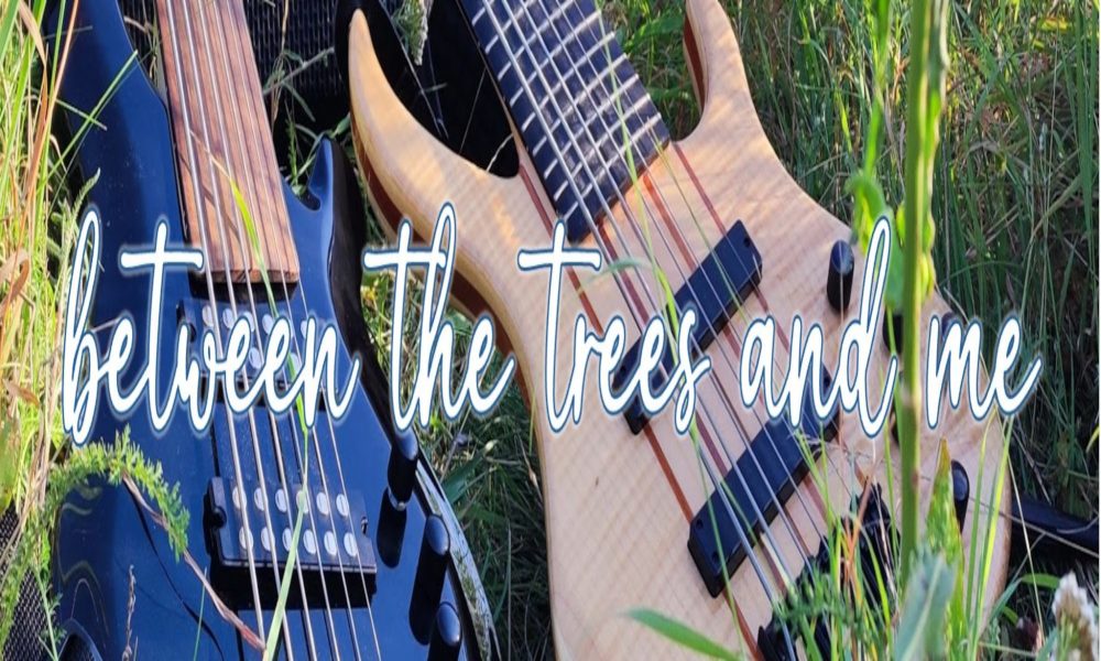 between the trees and me